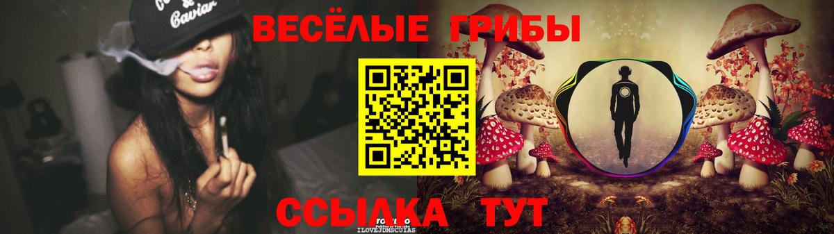 Псилоцибиновые грибы Psilocybe  Вход с VPN  как найти   Курчалой 